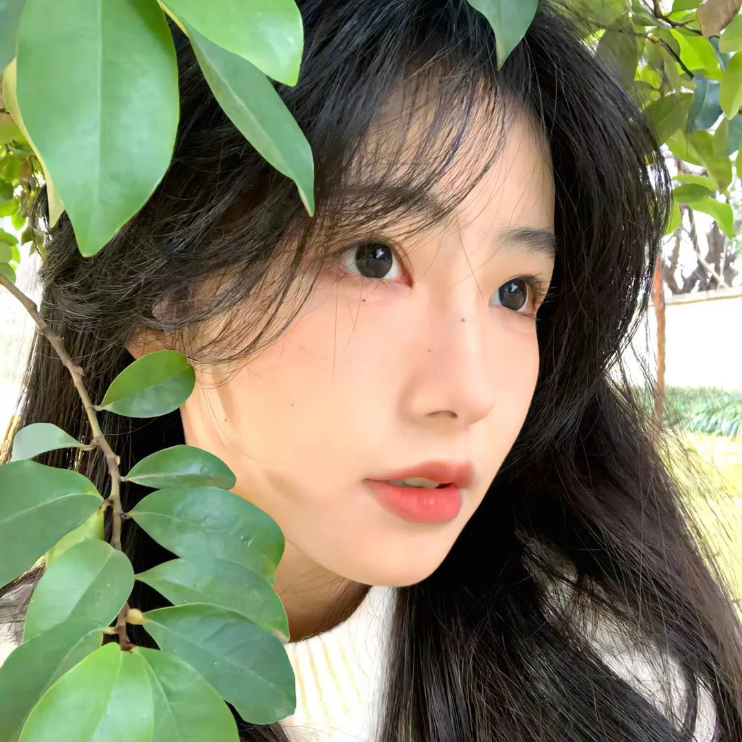潘多拉的世界