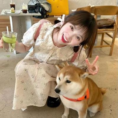 云雾之上